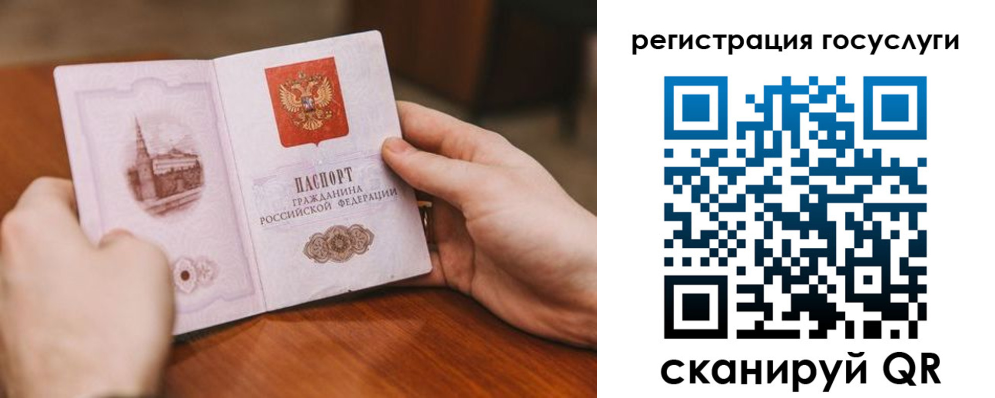 временная регистрация гарантия в Тамбове